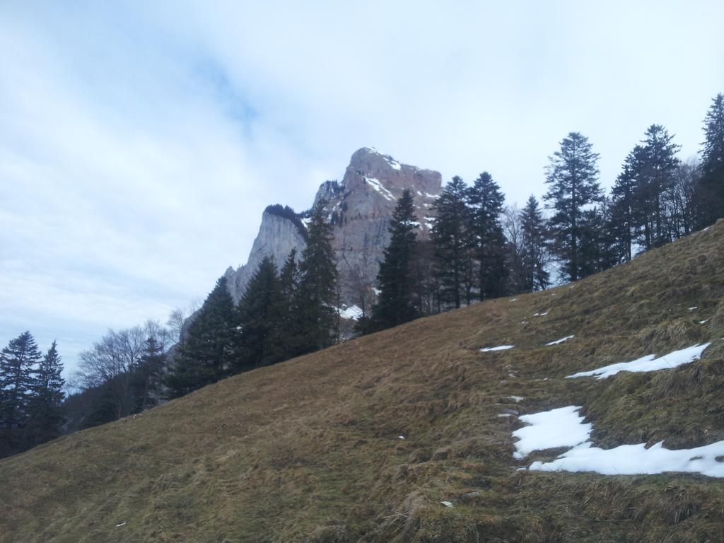 Studio Mythen Schwyz Exterior foto